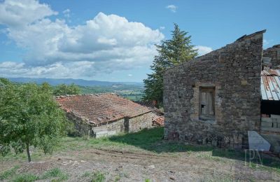Villa storica in vendita Monterchi, Toscana, Foto 10/24