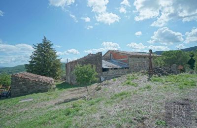 Villa storica in vendita Monterchi, Toscana, Foto 11/24