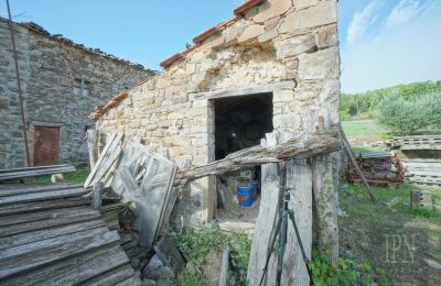 Villa storica in vendita Monterchi, Toscana, Foto 14/24