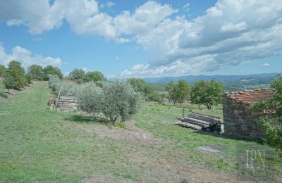 Villa storica in vendita Monterchi, Toscana, Foto 22/24
