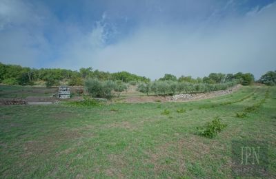 Villa storica in vendita Monterchi, Toscana, Foto 23/24