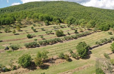 Villa storica in vendita Monterchi, Toscana, Foto 24/24