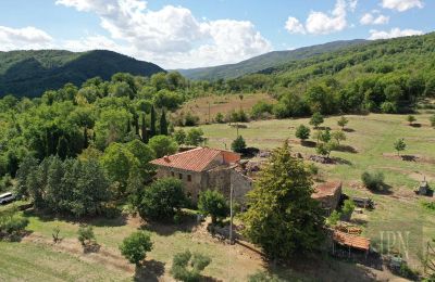 Villa storica in vendita Monterchi, Toscana, Foto 3/24