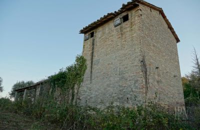 Casa di campagna in vendita 06019 Umbertide, Umbria, Foto 11/14
