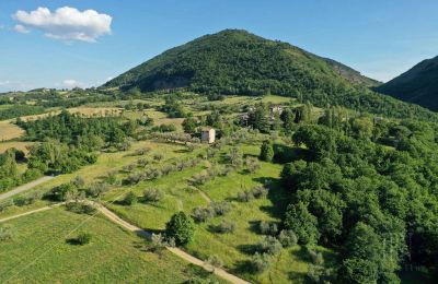 Casa di campagna in vendita 06019 Umbertide, Umbria, Foto 4/14