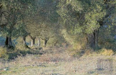 Casa di campagna in vendita 06073 Corciano, Umbria, Foto 32/42
