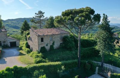 Immobili di carattere, Polgeto Project