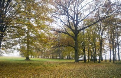 Parco storico in vendita Skorki, Masovia,, Proprietà