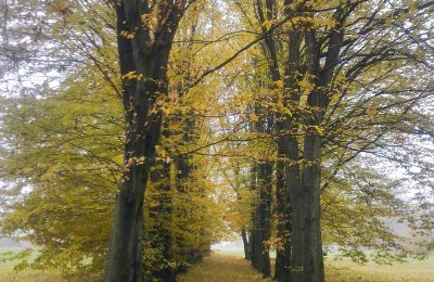 Parco storico in vendita Skorki, Masovia,, Foto 4/6