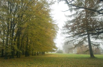 Parco storico in vendita Skorki, Masovia,, Parco