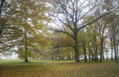 Parco storico in vendita Skorki, Masovia,, Foto 5/6