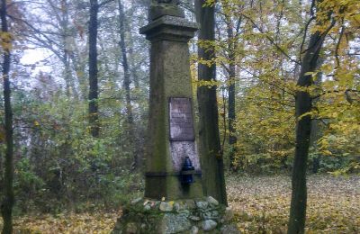 Parco storico in vendita Skorki, Masovia,, Foto 6/6