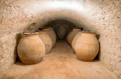 Dimore storiche in Castiglia: Casa de la Cúpula, Cantina