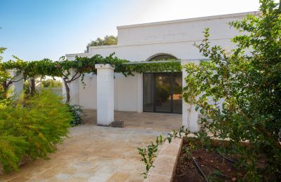 Casa di campagna in vendita Ostuni, Strada Provinciale 21, Puglia, Foto 31/33