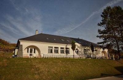 Villa padronale in vendita Trenčiansky kraj, okres Trenčín, Melčice - Lieskové, Melčice, Západné Slovensko, Foto 26/27