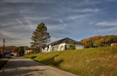 Villa padronale in vendita Trenčiansky kraj, okres Trenčín, Melčice - Lieskové, Melčice, Západné Slovensko, Foto 9/27