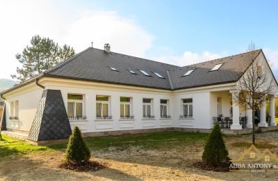Villa padronale in vendita Trenčiansky kraj, okres Trenčín, Melčice - Lieskové, Melčice, Západné Slovensko, Foto 3/27