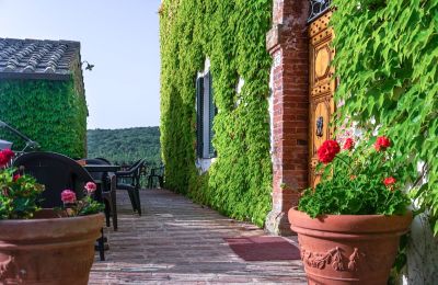 Immobile storico in vendita Murlo, Toscana, Foto 4/49