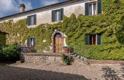 Immobile storico in vendita Murlo, Toscana, Foto 2/49