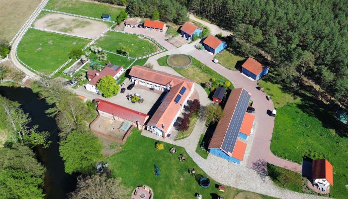 Villa padronale in vendita Krzyż Wielkopolski, Grande Polonia,  Polonia