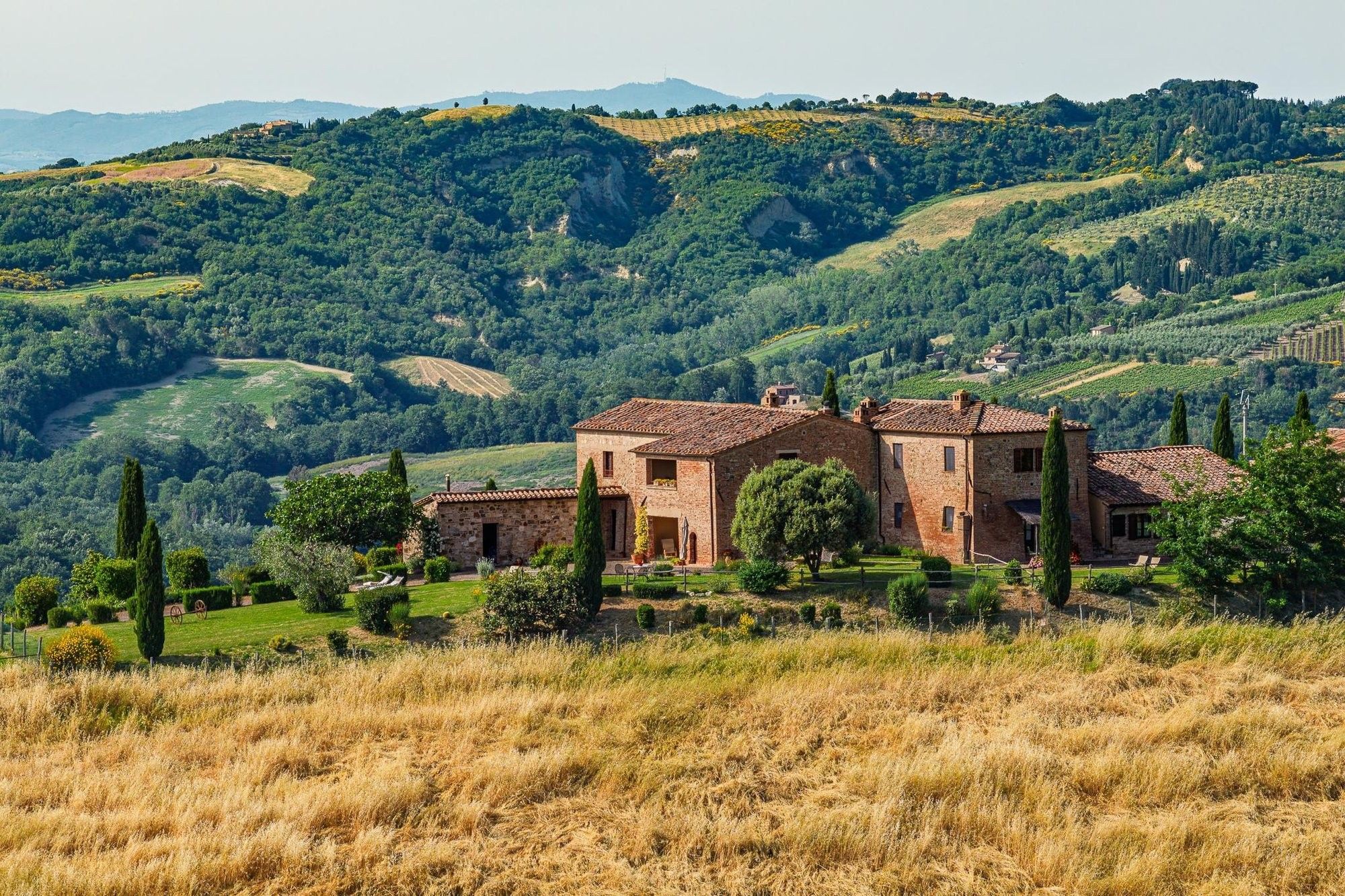 Immagini Tenuta biologica con vista sulla Val d’Orcia - nei dintorni di Montalcino
