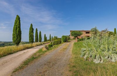 Casa di campagna in vendita Montalcino, Toscana, Foto 11/26