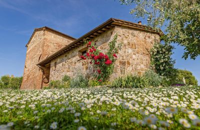 Casa di campagna in vendita Montalcino, Toscana, Foto 14/26