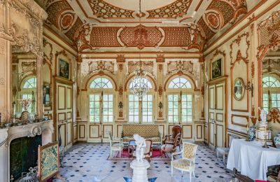 Castello in vendita Vitry-le-François, Grand-Est, Sala d'ingresso