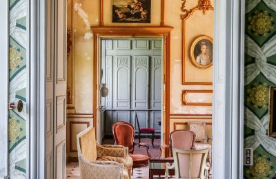 Castello in vendita Vitry-le-François, Grand-Est, Foto 5/10