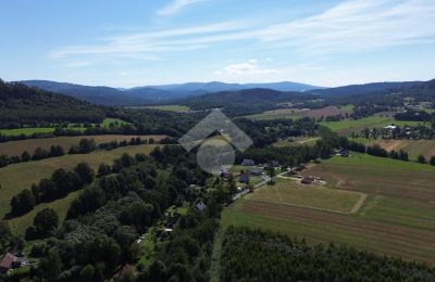 Villa padronale in vendita Radochów, Bassa Slesia, Foto 9/10