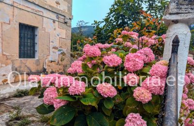 Villa padronale in vendita Araba/Álava, Ayala/Aiara, Ayala / Aiara, Llanteno, Euskadi, Foto 2/29