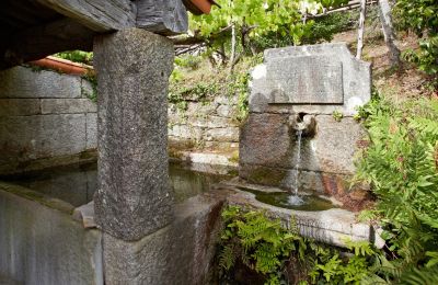 Proprietà storica in vendita Gondomar, Galizia, Giardino
