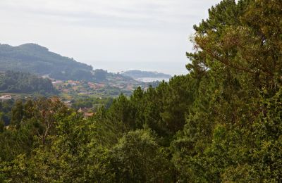 Proprietà storica in vendita Gondomar, Galizia, Foto 41/48