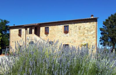 Casa di campagna 06062 Città della Pieve, Umbria