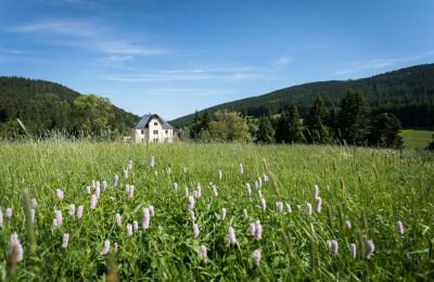 Villa padronale in vendita 08309 Eibenstock, Sachsen,, Posizione dell'immobile
