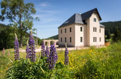 Villa padronale in vendita 08309 Eibenstock, Sachsen,, Foto 5/6