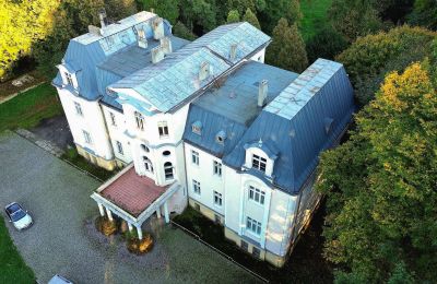 Castello in vendita Zakrzów, Opole, Tetto