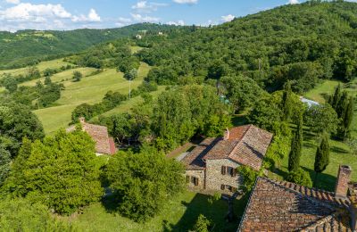 Casa di campagna in vendita Anghiari, Toscana, Foto 3/38