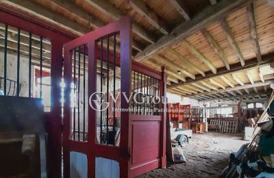 Villa padronale in vendita Le Dorat, Nuova Aquitania, Foto 13/14