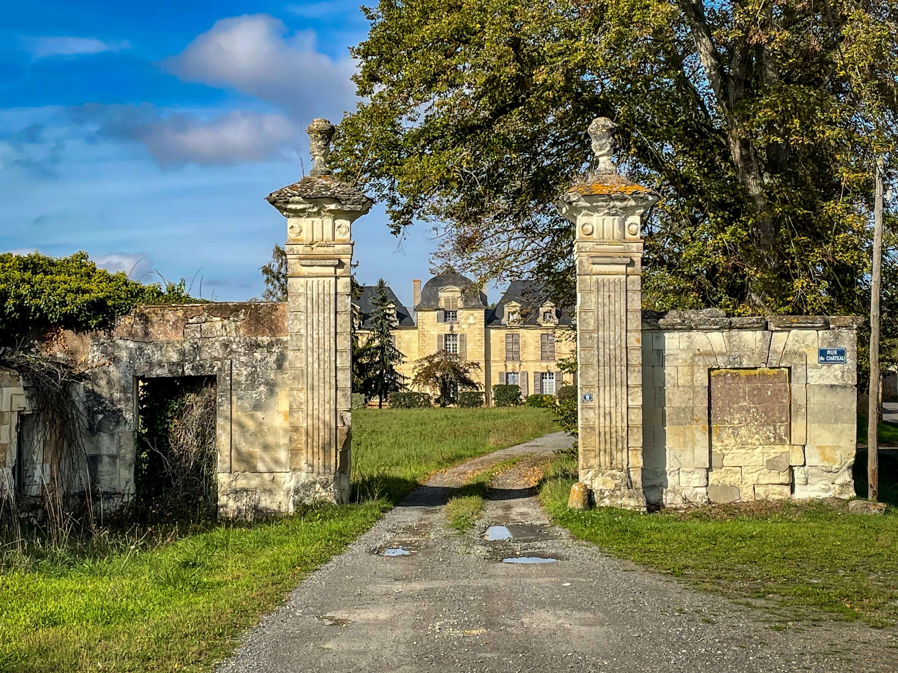 Immagini Chateau da ristrutturare del XVII secolo con parco boschivo di 26 ettari tra Touraine e Anjou