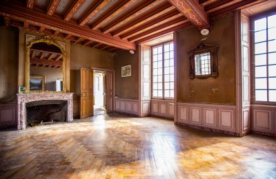 Castello in vendita Thouars, Nuova Aquitania, Foto 8/16