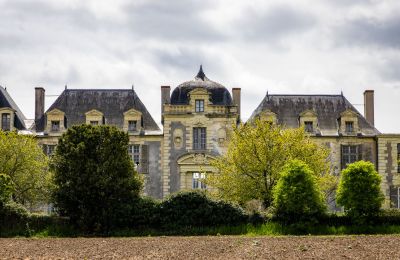 Castello in vendita Thouars, Nuova Aquitania, Foto 2/16