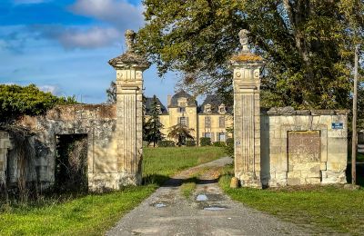 Castello in vendita Thouars, Nuova Aquitania, Foto 1/16