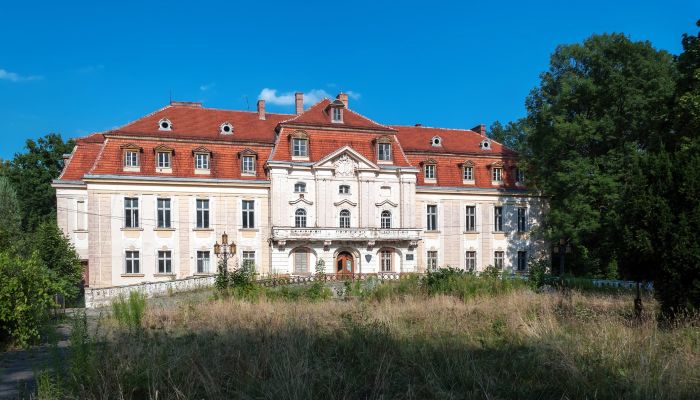 Castello in vendita Roztocznik, Bassa Slesia