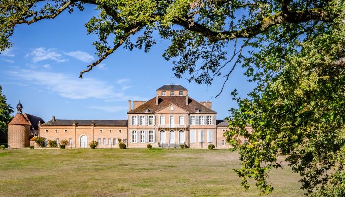 Castello in vendita Nevers, Bourgogne-Franche-Comté,  Francia