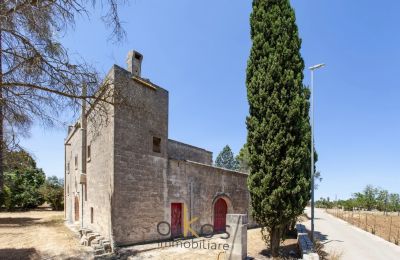 Proprietà storica in vendita Francavilla Fontana, Puglia, Foto 3/34