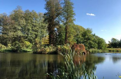 Villa padronale in vendita Ojrzanów, Pałac w Ojrzanowie, Masovia, Stagno/Lago