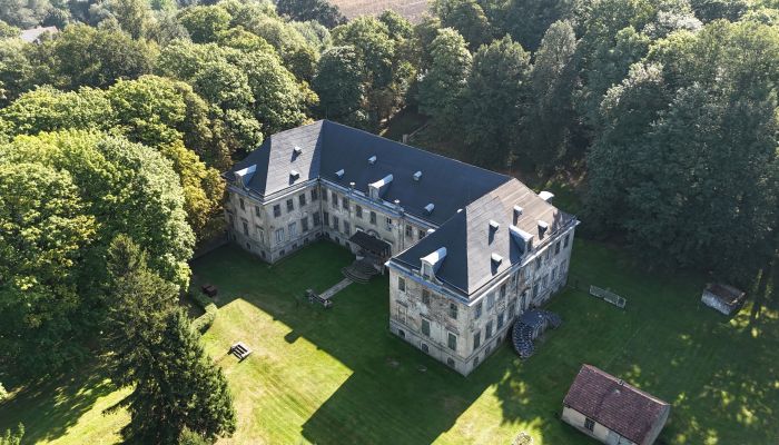 Castello in vendita Pobiedna, Bassa Slesia,  Polonia, 1