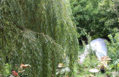 Villa storica in vendita Faido, Ticino, Foto 31/44