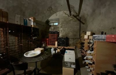 Villa storica in vendita Faido, Ticino, Cantina vini